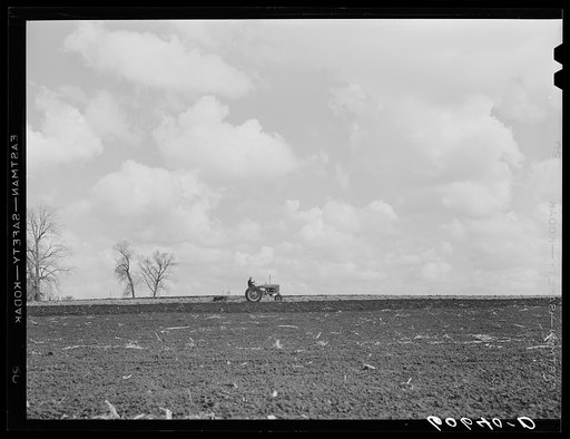 Untitled photo, possibly related to: Discing cornstalks. Grundy County, Iowa