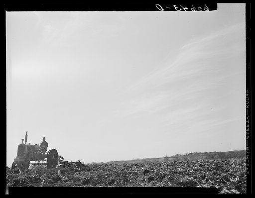 Untitled photo, possibly related to: Father and son preparing a piece of land for corn planting. Grundy County, Iowa