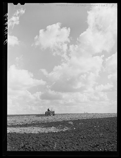 Discing cornstalks. Grundy County, Iowa