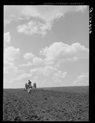 Untitled photo, possibly related to: Using spring tooth harrow. Grundy County, Iowa