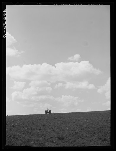 Untitled photo, possibly related to: Using spring tooth harrow. Grundy County, Iowa