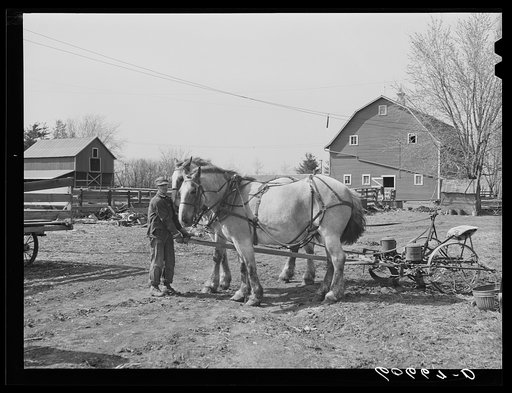 Untitled photo, possibly related to: Filling box on two-row corn planter. Grundy County, Iowa