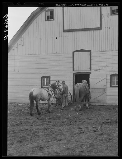 Untitled photo, possibly related to: Farm boy with load of corn ground for feed. Grundy County, Iowa