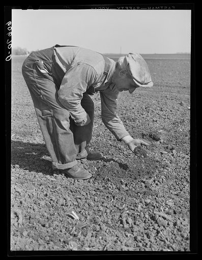 Fred Coulter, Iowa corn farmer, examining soil on his place. Grundy County, Iowa