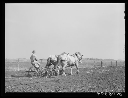 Untitled photo, possibly related to: Filling box on two-row corn planter. Grundy County, Iowa