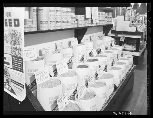 Seed store display. Marshalltown, Iowa