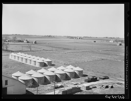 Steel bins for corn storage under Evernormal granary program. Scranton, Iowa