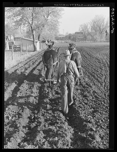 Resident of small town plowing fields behind his house. He will plant corn here. Woodbine, Iowa