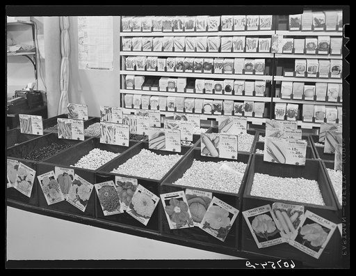 Seed store display. Marshalltown, Iowa