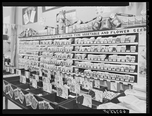 Untitled photo, possibly related to: Seed store display. Marshalltown, Iowa