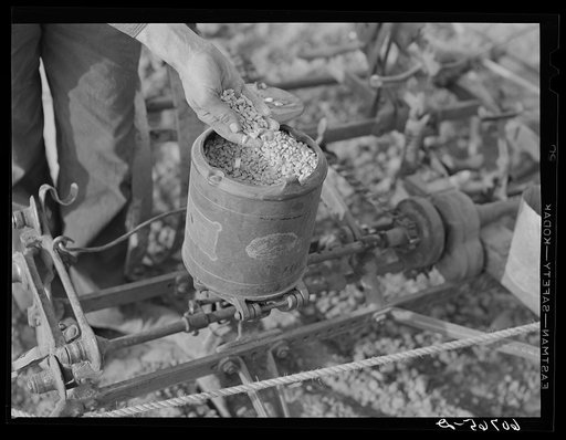 Untitled photo, possibly related to: Adjusting plate on corn planter. Monona County, Iowa