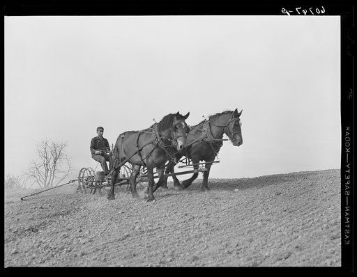 Planting corn. Monona County, Iowa