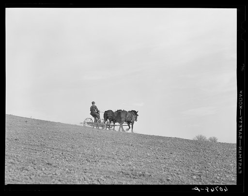 Planting corn. Monona County, Iowa