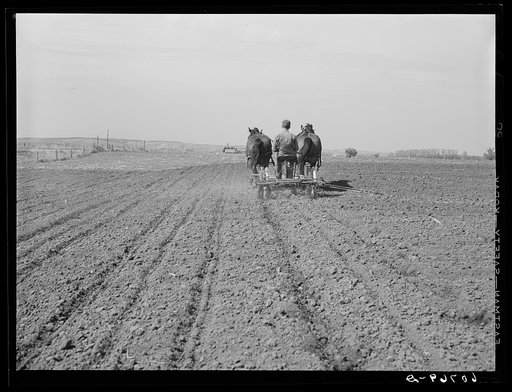 Planting corn. Monona County, Iowa