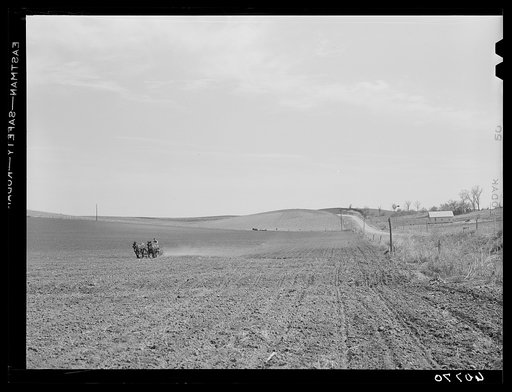 Planting corn. Monona County, Iowa