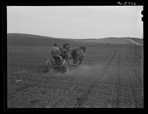 Planting corn. Monona County, Iowa