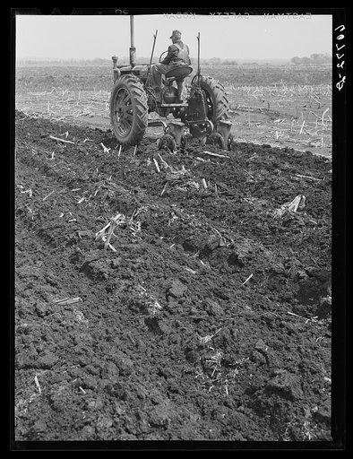 Listing and planting corn in one operation. Monona County, Iowa