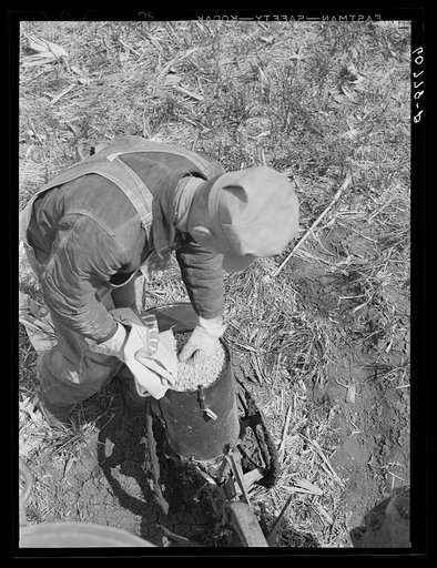 Untitled photo, possibly related to: Examining hybrid seed corn in box of planter. Monona County, Iowa