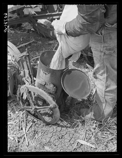 Untitled photo, possibly related to: Listing and planting corn with two-row tractor planter. When this method is used the ground need not be plowed up until actual planting begins. Monona County, Iowa