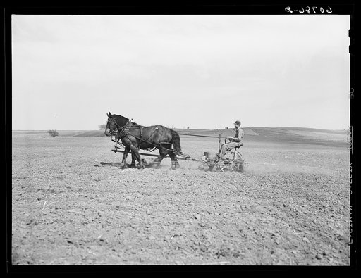 Planting corn. Monona County, Iowa