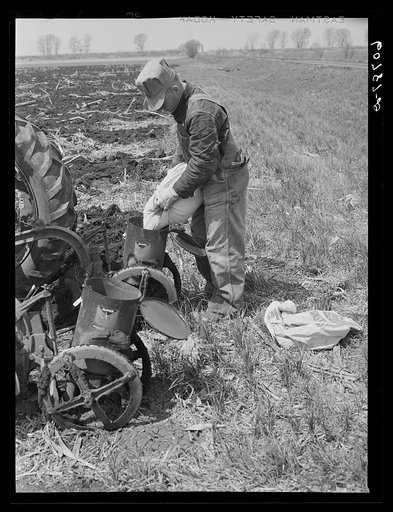 Pouring seed into box of two-row tractor corn planter. Listing method. Monona County, Iowa