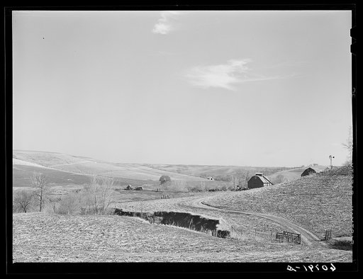 Erosion gully, with CCC (Civilian Conservation Corps) building a check dam. Monona County, Iowa