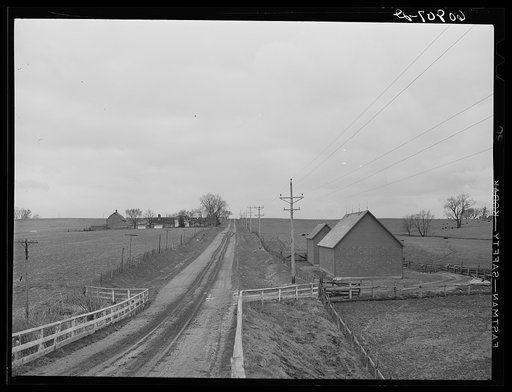 Country road. Marshall County, Iowa