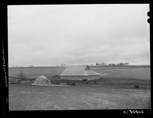 Barnyard. Marshall County, Iowa