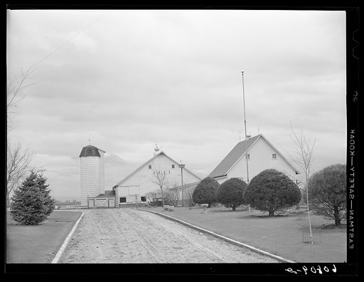 Farmyard of corn and hog farmer. Marshall County, Iowa