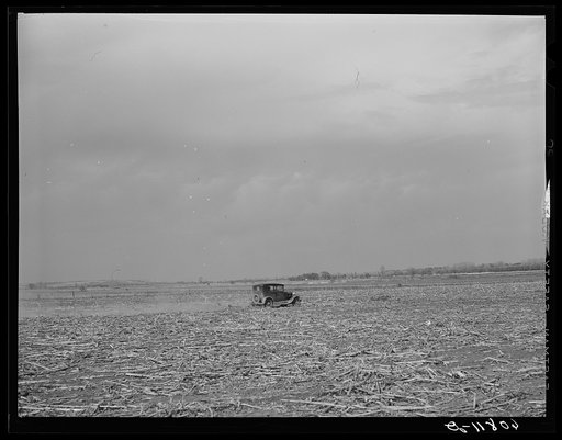 Breaking down last year's corn stalks with automobile-driven harrow. Harrison County, Iowa