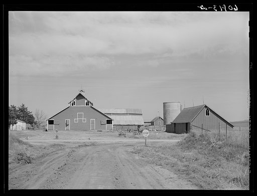 Barns with church windows. Monona County, Iowa