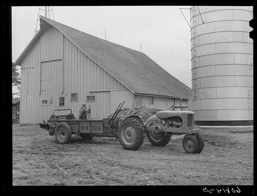 Loading manure spreader. Greene County, Iowa