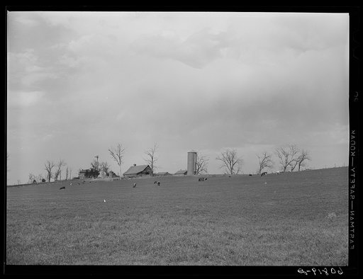 Corn and stock farm. Harrison County, Iowa