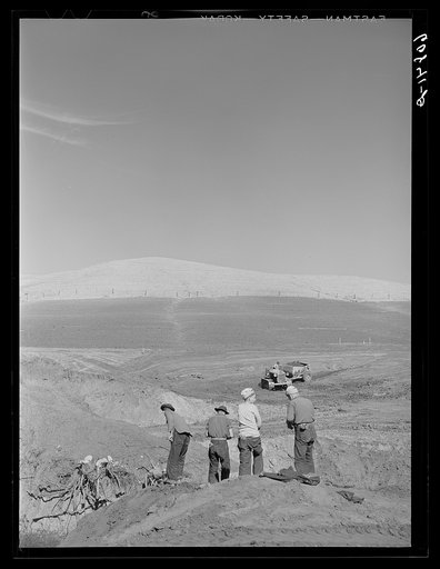 CCC (Civilian Conservation Corps) boys cooperating with Soil Conservation building erosion dam. Monona County, Iowa