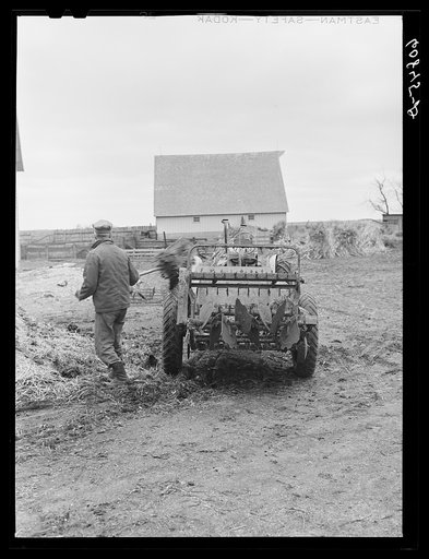 Untitled photo, possibly related to: Loading manure spreader. Greene County, Iowa