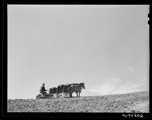 Untitled photo, possibly related to: Discing with horses. listing with tractor. Western Iowa corn county. Monona County, Iowa