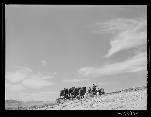 Discing with horses, listing with tractor. Monona County, Iowa