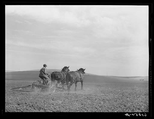 Planting corn. Monona County, Iowa