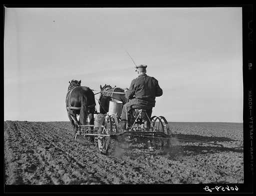 Corn planting. Jasper County, Iowa