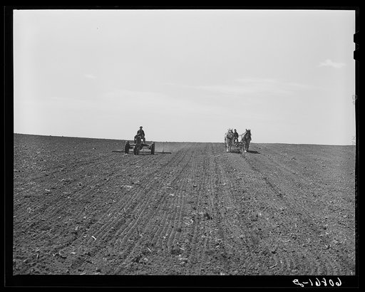 Harrowing and corn planting. Jasper County, Iowa
