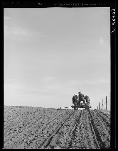 Planting corn. Jasper County, Iowa