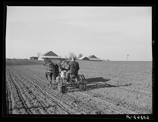 Planting corn. Jasper County, Iowa