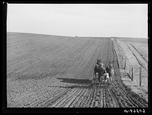 Planting corn. Jasper County, Iowa