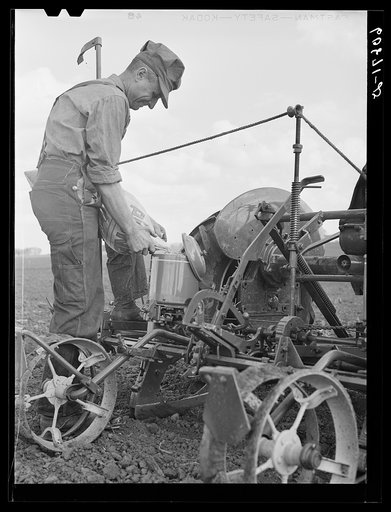 Untitled photo, possibly related to: Pouring hybrid corn seed into box of two-row tractor planter. Jasper County, Iowa