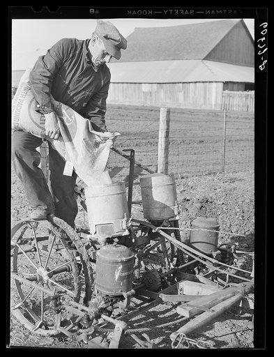 Untitled photo, possibly related to: Pouring fertilizer into box on corn planter. Jasper County, Iowa