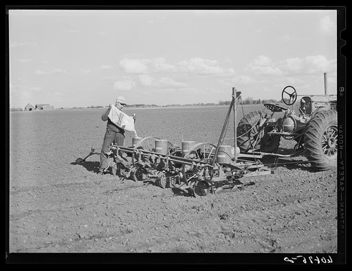Pouring hybrid seed corn in box of four-row tractor planter. Jasper County, Iowa