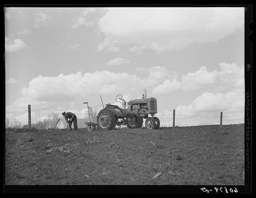 Putting the stake which holds the wire in the ground. Corn planting, Jasper County, Iowa