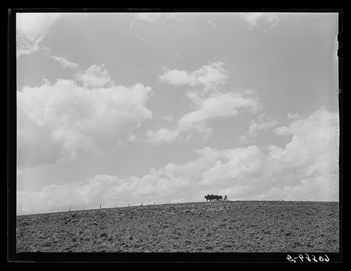 Harrowing. Jasper County, Iowa