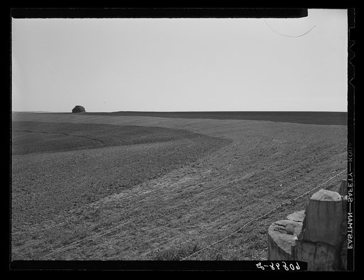 Contour planting and listing. Monona County, Iowa