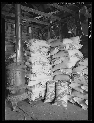 Hybrid corn stored in farmer's machine shed. Monona County, Iowa